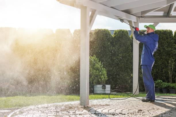 Best Gutter Cleaning  in Westphalia, MD